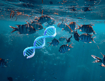 Los investigadores demostraron que la temperatura puede modificar la metilación del ADN. CANVA / ESPECIAL