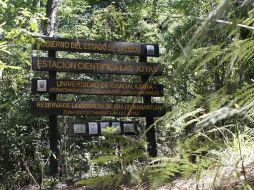 Cuidar este sitio implica más que una visita respetuosa: es apoyar proyectos comunitarios, contratar guías locales, seguir los senderos establecidos, evitar cualquier actividad que implique basura o extracción de flora y fauna. UNIVERSIDAD DE GUADALAJARA