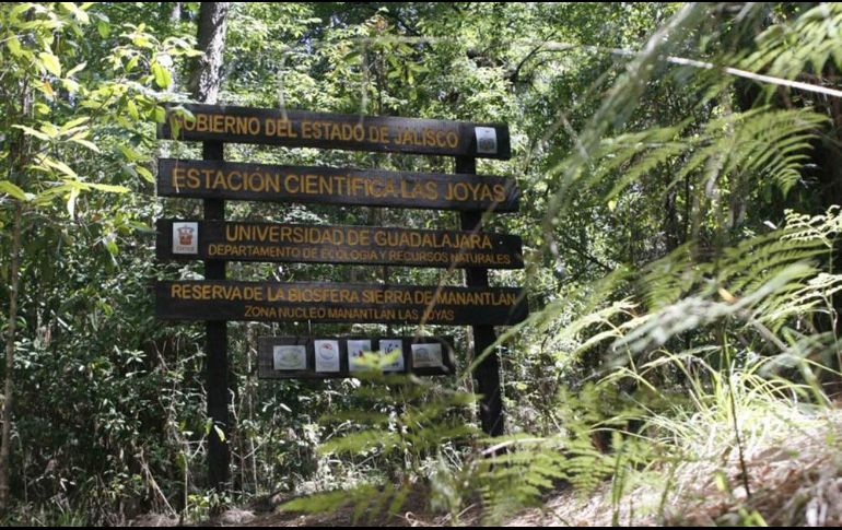 Cuidar este sitio implica más que una visita respetuosa: es apoyar proyectos comunitarios, contratar guías locales, seguir los senderos establecidos, evitar cualquier actividad que implique basura o extracción de flora y fauna. UNIVERSIDAD DE GUADALAJARA