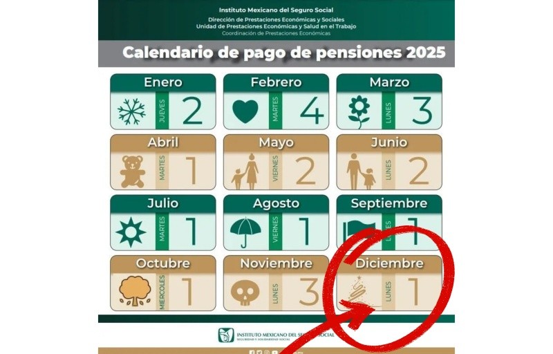 &nbsp;ESPECIAL / IMSS