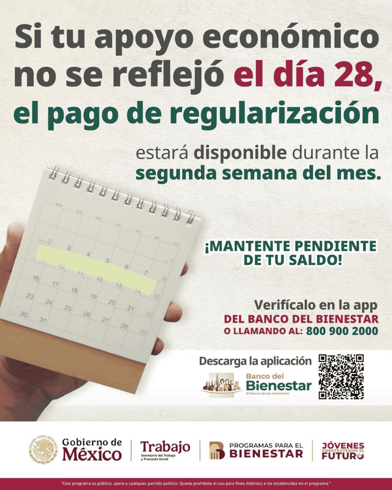 Se espera que a mediados de noviembre se regularicen los pagos del programa.&nbsp;ESPECIAL