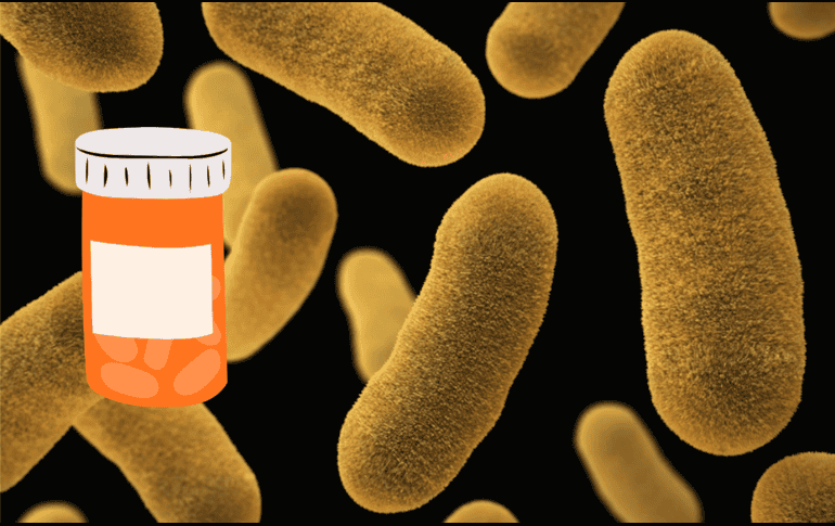 Un estudio científico demuestra que se puede utilizar un fármaco para eliminar bacterias infecciosas. UNSPLASH / CDC