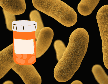 Un estudio científico demuestra que se puede utilizar un fármaco para eliminar bacterias infecciosas. UNSPLASH / CDC