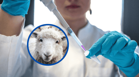 México se alista para una nueva fase de biotecnología con la clonación, un avance que podría contribuir a preservar especies en peligro de extinción. ESPECIAL / UNSPLASH