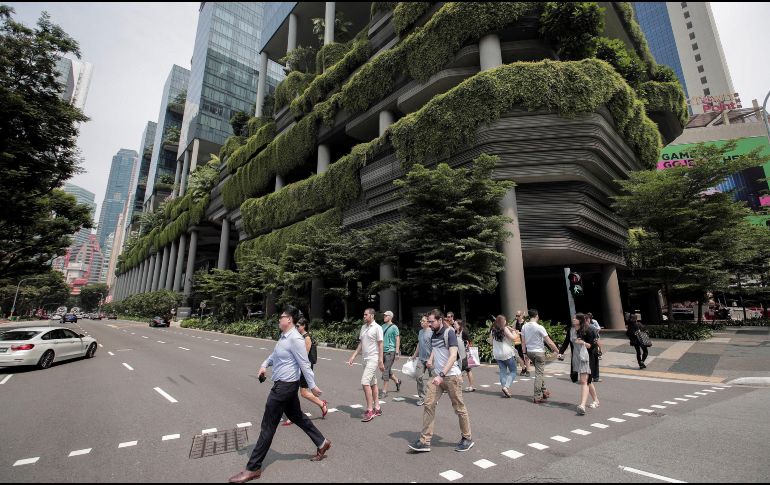 El estudio advierte también sobre otro fenómeno: la llamada gentrificación verde. EFE / ARCHIVO