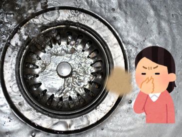 Esta señal de alerta debe atenderse en el menor tiempo posible, pues si se ignora se corre el riesgo de que plagas indeseables sean atraídas por el aroma. CANVA.