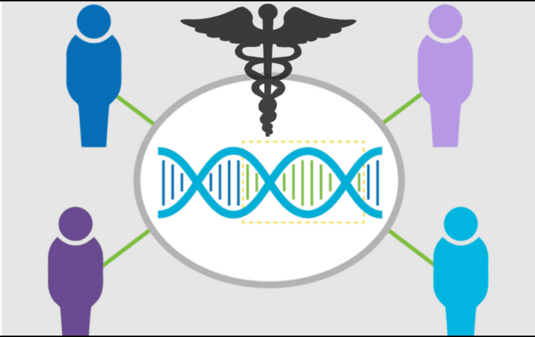 Un solo sistema de edición primordial podría potencialmente tratar múltiples enfermedades genéticas. BROADINSTITUDE.ORG