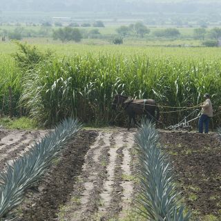 Alertan por falsos gestores para regularizar concesiones de agua