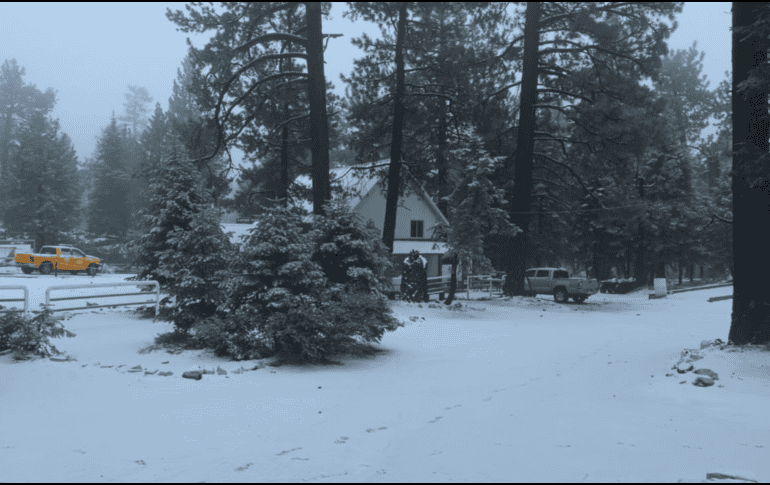 ESPECIAL / Comisión Nacional de Áreas Naturales Protegidas