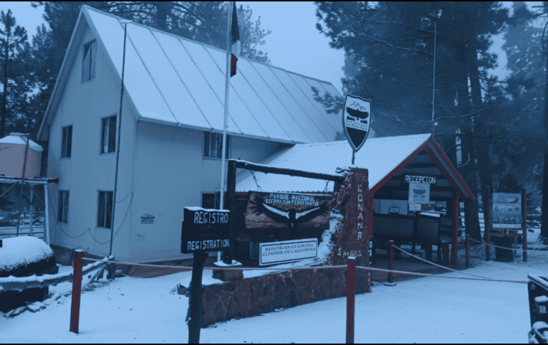 ESPECIAL / Comisión Nacional de Áreas Naturales Protegidas