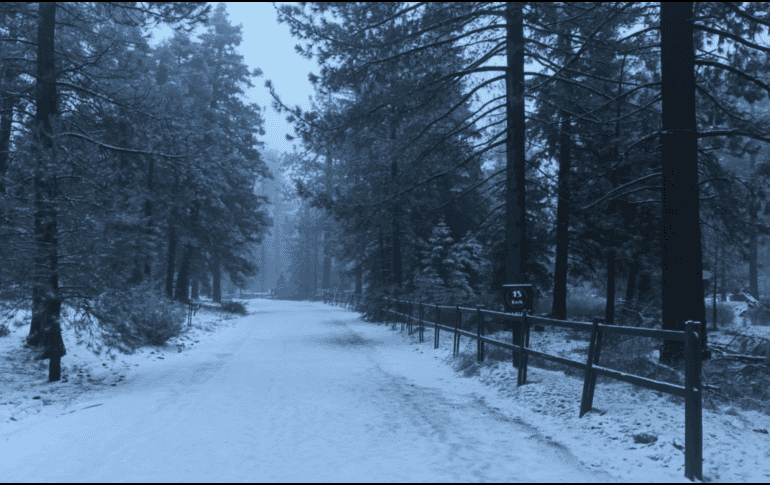 ESPECIAL / Comisión Nacional de Áreas Naturales Protegidas