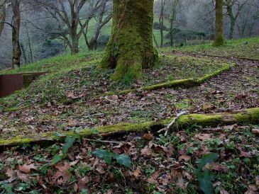 Mediante 34 piezas fotográficas, tres fotolibros y una videoinstalación, Pons ilumina aquello que ha sido silenciado en la memoria colectiva. ESPECIAL / ESPE PONS