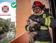 No se presentaron lesionados pese a la densidad del humo provocado por el incendio. ESPECIAL / FACEBOOK Protección Civil y Bomberos GDL