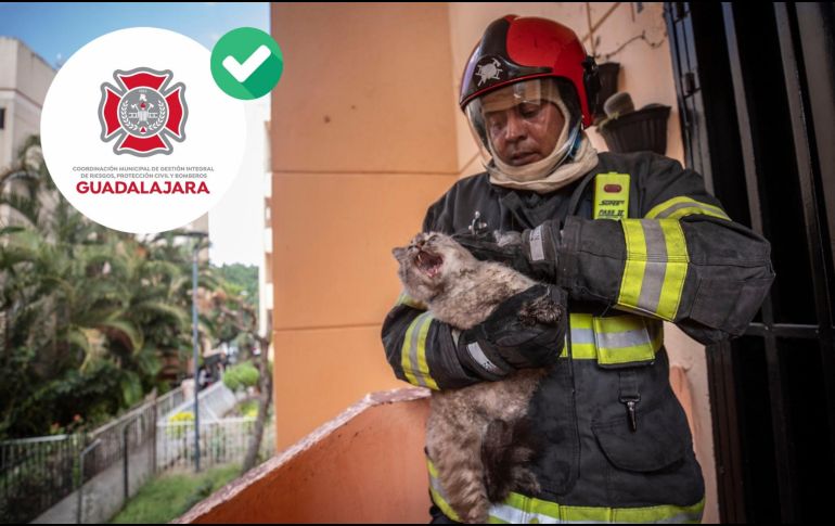 No se presentaron lesionados pese a la densidad del humo provocado por el incendio. ESPECIAL / FACEBOOK Protección Civil y Bomberos GDL