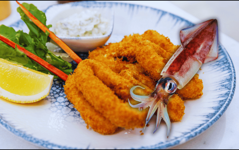 Desde la Comisión Nacional de Acuacultura y Pesca de México señalan que resulta positivo para la salud incorporar calamares a nuestra alimentación. ESPECIAL / CANVA