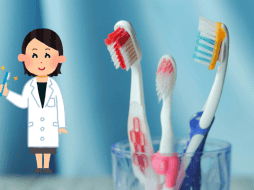 El mejor cepillo de dientes es aquel de cerdas suaves inclinadas, según Colgate. CANVAL