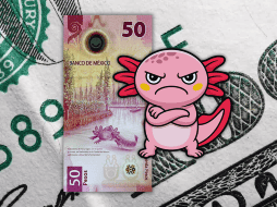 El peso en los mercados internacionales concluyó alrededor de 18.48 pesos por dólar, lo que significó una depreciación de 0.99% o 18 centavos respecto a la jornada del viernes anterior, luego de dos semanas de ganancias: ESPECIAL / CANVA