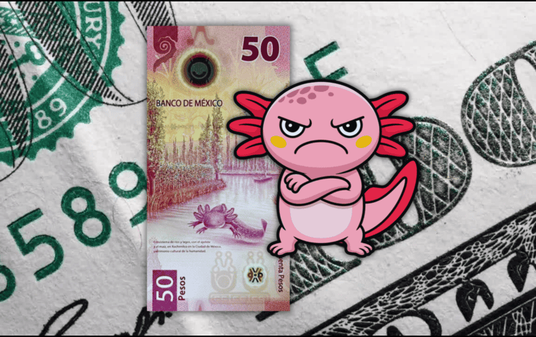 El peso en los mercados internacionales concluyó alrededor de 18.48 pesos por dólar, lo que significó una depreciación de 0.99% o 18 centavos respecto a la jornada del viernes anterior, luego de dos semanas de ganancias: ESPECIAL / CANVA