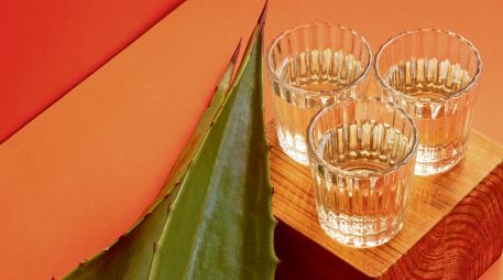 Mascota brinda por su tradición raicillera