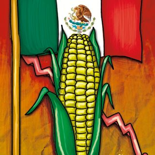 La problemática de la producción de maíz en México