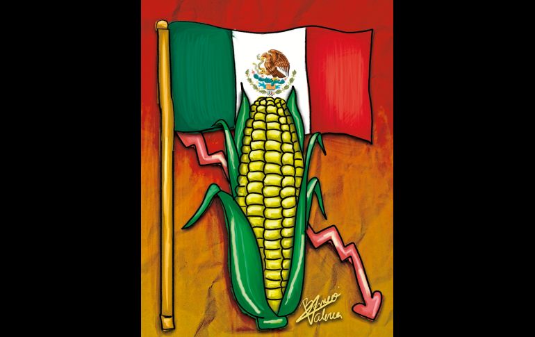 La tonelada de maíz se cotiza en los mercados internacionales en poco más de tres mil pesos por tonelada. Los agricultores piden siete mil 200 para no perder lo invertido y rescatar algo de beneficio. ESPECIAL/Valeria Berrrueco