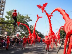 “Les Girafes” llenaron de emoción, risas y compañía familiar la avenida Vallarta. EL INFORMADOR/ J. ACOSTA.