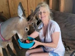 Proger era una mujer que desarrolló un proyecto dedicado al rescate de venados cola blanca después de presenciar un incidente que marcó su vida. ESPECIAL