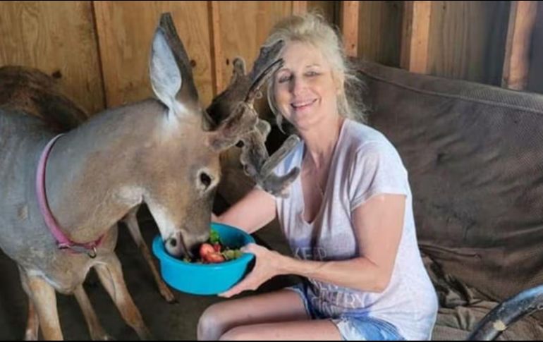 Proger era una mujer que desarrolló un proyecto dedicado al rescate de venados cola blanca después de presenciar un incidente que marcó su vida. ESPECIAL