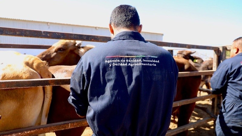 La Sader Jalisco y la ASICA mantendrán la vigilancia en zonas de riesgo. SADER JALISCO&nbsp;