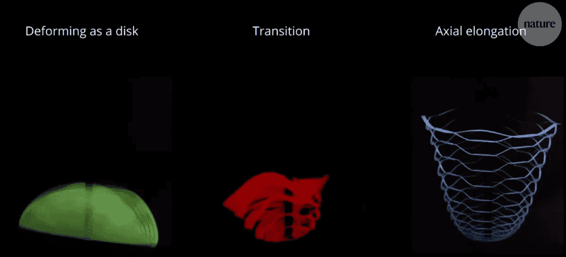 ESPECIAL / REVISTA NATURE&nbsp;