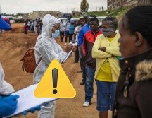 La enfermedad, para la que no hay vacuna ni tratamiento específico. EFE / ARCHIVO