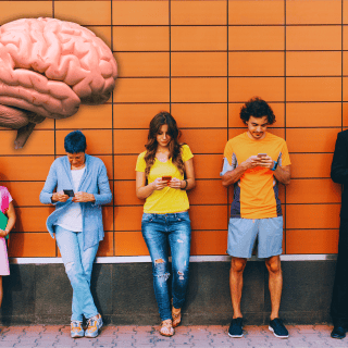 El viaje del cerebro: Las 5 fases que marcan nuestra vida