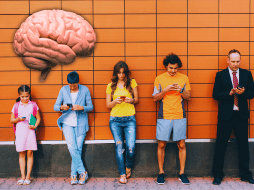 Estos cambios en el cerebro se diferencian entre sí por cambios en la conectividad neuronal. ESPECIAL / CANVA