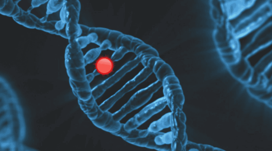 Este descubrimiento se alcanzó con el análisis de sitios de inicio de transcripción en 150 mil genomas humanos del 