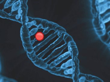 Este descubrimiento se alcanzó con el análisis de sitios de inicio de transcripción en 150 mil genomas humanos del "UK Biobank" y en 75 mil del "Genome Aggregation Database". ESPECIAL