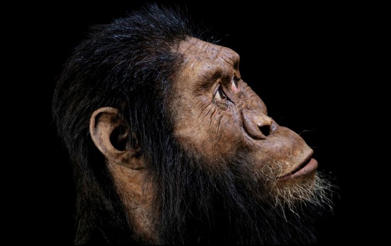 La geología, subraya, que esta especie es clave para entender esa evolución, pues otorga el contexto físico y cronológico que da valor a los fósiles. ARCHIVO / AP