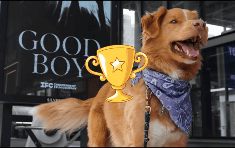 La cinta inicia con una escena inquietante en la que Indy observa fijamente un rincón de la habitación con evidente alarma, mientras su dueño comienza a escupir sangre y tiene dificultades para respirar. INSTAGRAM/@goodboy.film