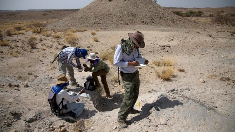 En 2009, el equipo de Haile-Selassie descubrió ocho huesos del pie de un ancestro humano en el yacimiento de Woranso-Mille, en la región de Afar. EFE / ARCHIVO 
