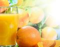 No solo la vitamina C hace del jugo de naranja un aliado para el invierno: también aporta flavonoides y antioxidantes naturales, como los carotenoides, que ayudan a neutralizar los radicales libres y reducir el estrés oxidativo. Pixabay