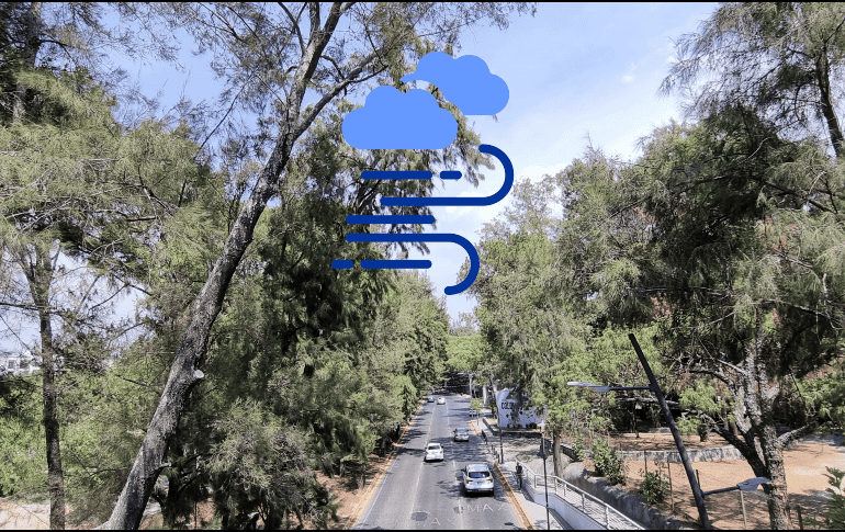 Índice de la calidad por zonas del AMG. EL INFORMADOR / ARCHIVO