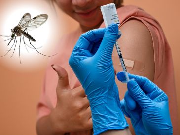 La ventaja de una sola dosis es que podría facilitar la adhesión del público y simplificar la logística de las campañas de vacunación, un factor muy importante para combatir la enfermedad. ESPECIAL / CANVA