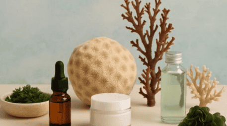 Europa busca impulsar la bieconomía en ciertas industrias del mercado. EFE / ARCHIVO