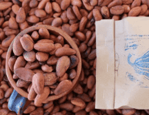 En esta edición participarán productores de alimentos tradicionales y proyectos afines a la Feria de Productores. INSTAGRAM/@feriamx