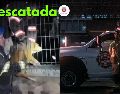 La perrita fue dócil y se mantuvo tranquila durante el rescate. ESPECIAL / FACEBOOK Protección Civil y Bomberos GDL / EL INFORMADOR / ARCHIVO