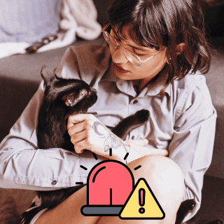 ¿Cómo atender a tu mascota en caso de una emergencia?