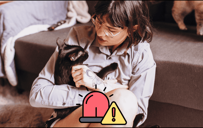 Aquí te compartimos una guía clara y práctica para actuar mientras llega ayuda de un profesional veterinario. CANVA / ESPECIAL