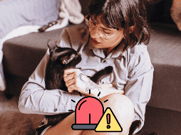 Aquí te compartimos una guía clara y práctica para actuar mientras llega ayuda de un profesional veterinario. CANVA / ESPECIAL