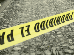 La fuga fue provocada por el desprendimiento de una nodriza en un campo agrícola del ejido Lousiana, ubicado al poniente del municipio de Ahome. EL INFORMADOR/ARCHIVO