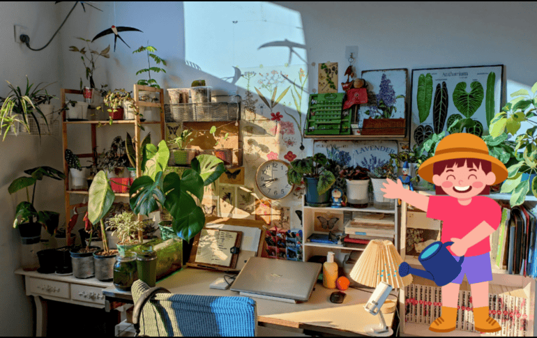 Se aconseja colocarlas en zonas donde reciban la luz adecuada para su especie. CANVA