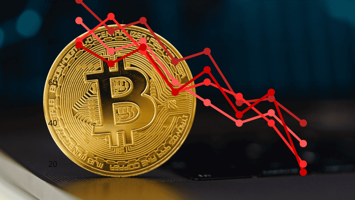 Bitcoin cae por debajo de 85 mil dólares en desplome de criptomonedas | El  Informador